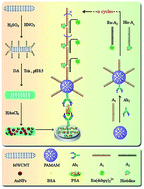 Graphical abstract: A supersandwich electrochemiluminescence immunosensor based on mimic-intramolecular interaction for sensitive detection of proteins