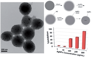 Graphical abstract: A novel green synthesis approach for polymer nanocomposites decorated with silver nanoparticles and their antibacterial activity
