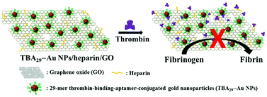 Graphical abstract: Graphene oxide modified with aptamer-conjugated gold nanoparticles and heparin: a potent targeted anticoagulant