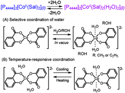 Graphical abstract: A cobalt(ii) bis(salicylate)-based ionic liquid that shows thermoresponsive and selective water coordination