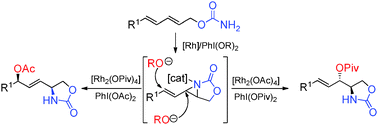 Graphical abstract: Rhodium-catalyzed regio- and stereoselective oxyamination of dienes via tandem aziridination/ring-opening of dienyl carbamates