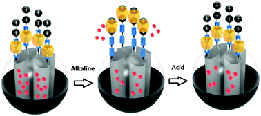 Graphical abstract: Mechanized silica nanoparticles based on reversible bistable [2]pseudorotaxanes as supramolecular nanovalves for multistage pH-controlled release
