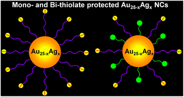 Graphical abstract: Facile synthesis of water-soluble Au25–xAgx nanoclusters protected by mono- and bi-thiolate ligands