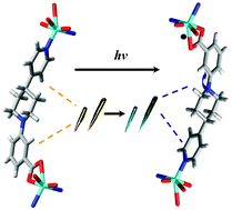 Graphical abstract: Highly stable photoresponsive complex framework formation involves unusual selective hydrogenation of a pyridine derivative