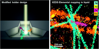 Graphical abstract: Real-time imaging and local elemental analysis of nanostructures in liquids