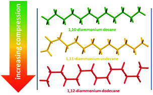 Graphical abstract: Progressive compression of 1,ω-diammonium-alkanes inside a rigid crystalline molecular cage