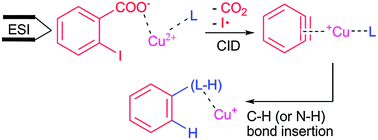 Graphical abstract: Gas-phase synthesis and reactivity of Cu+–benzyne complexes