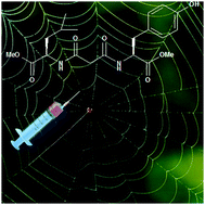 Graphical abstract: A small molecule peptidomimetic of spider silk and webs