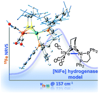 Graphical abstract: Synthesis and vibrational spectroscopy of 57Fe-labeled models of [NiFe] hydrogenase: first direct observation of a nickel–iron interaction