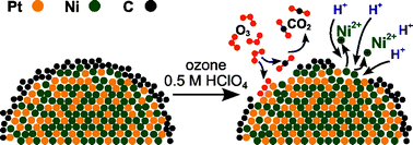 Graphical abstract: Activation of carbon-supported catalysts by ozonized acidic solutions for the direct implementation in (electro-)chemical reactors