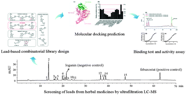 Graphical abstract: A strategy for screening of high-quality enzyme inhibitors from herbal medicines based on ultrafiltration LC-MS and in silico molecular docking