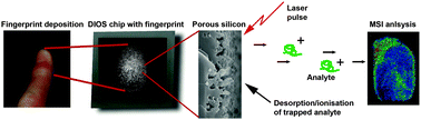 Graphical abstract: Mass spectrometry imaging of fingerprint sweat on nanostructured silicon