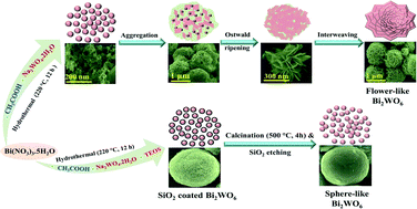 Graphical abstract: Synthesis of homogeneous sphere-like Bi2WO6 nanostructure by silica protected calcination with high visible-light-driven photocatalytic activity under direct sunlight