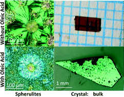 Graphical abstract: Influence of oleic acid on the nucleation and growth of 4-N,N-dimethylamino-4-N-methyl-stilbazoliumtosylate (DAST) crystals