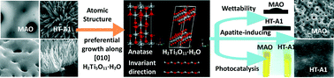 Graphical abstract: H2Ti5O11·H2O nanorod arrays formed on a Ti surface via a hybrid technique of microarc oxidation and chemical treatment