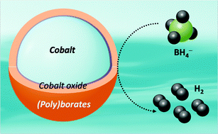 Graphical abstract: Cobalt-based catalysts for the hydrolysis of NaBH4 and NH3BH3