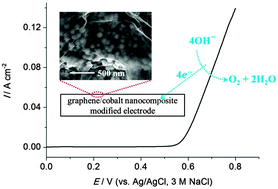 Graphical abstract: Facile electrochemical co-deposition of a graphene–cobalt nanocomposite for highly efficient water oxidation in alkaline media: direct detection of underlying electron transfer reactions under catalytic turnover conditions