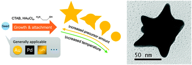 Graphical abstract: Developing an aqueous approach for synthesizing Au and M@Au (M = Pd, CuPt) hybrid nanostars with plasmonic properties
