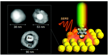 Graphical abstract: Particle size dependence of the surface-enhanced Raman scattering properties of densely arranged two-dimensional assemblies of Au(core)–Ag(shell) nanospheres