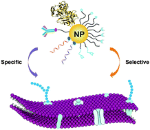 Graphical abstract: Cell surface-based sensing with metallic nanoparticles