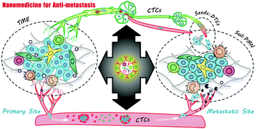 Graphical abstract: Development of individualized anti-metastasis strategies by engineering nanomedicines