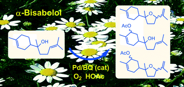 Graphical abstract: Palladium catalyzed oxidation of renewable terpenes with molecular oxygen: oxidation of α-bisabolol under chloride-free conditions