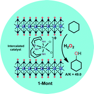 Graphical abstract: A non-heme cationic Fe(iii)-complex intercalated in montmorillonite K-10: synthesis, characterization and catalytic alkane hydroxylation with H2O2 at room temperature