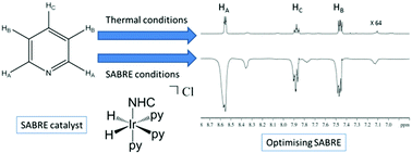 Graphical abstract: Hyperpolarisation through reversible interactions with parahydrogen
