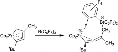Graphical abstract: Reaction of five-membered zirconacycloallenoids with the strong Lewis acid B(C6F5)3