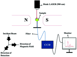 Graphical abstract: Down-shifting and upconversion photoluminescence in Ho3+/Yb3+ codoped GdNbO4: effect of the Bi3+ ion and the magnetic field