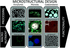 Graphical abstract: Functional food microstructures for macronutrient release and delivery