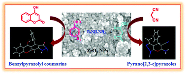 Graphical abstract: One-pot multicomponent synthesis of highly functionalized bio-active pyrano[2,3-c]pyrazole and benzylpyrazolyl coumarin derivatives using ZrO2 nanoparticles as a reusable catalyst