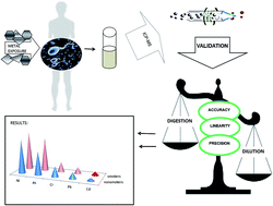Graphical abstract: Multielement analysis of human seminal plasma by octopole reaction cell ICP-MS