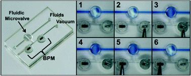 Graphical abstract: Manually operatable on-chip bistable pneumatic microstructures for microfluidic manipulations