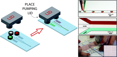 Graphical abstract: The pumping lid: investigating multi-material 3D printing for equipment-free, programmable generation of positive and negative pressures for microfluidic applications
