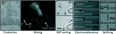 Graphical abstract: Droplet-based microfluidics at the femtolitre scale