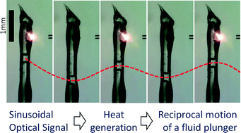 Graphical abstract: An optopneumatic piston for microfluidics