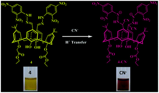 Graphical abstract: A new calix[4]arene based molecular probe for selective and sensitive detection of CN− ions in aqueous media