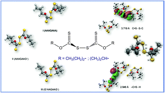 Graphical abstract: Structural, spectroscopic and theoretical studies on dixanthogens: (ROC(S)S)2, with R = n-propyl and isopropyl