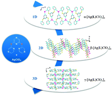 Graphical abstract: Supramolecular silver(i) coordination isomers of different dimensionalities assembled using a conformationally flexible multidentate oligo-α-sulfanylpyrazinyl ligand