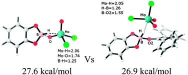 Graphical abstract: Mechanistic insights into B–H bond activation with the high-valent oxo-molybdenum complex MoO2Cl2