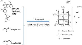 Graphical abstract: Ultrasonic synthesis and properties of a sodium lignosulfonate–grafted poly(acrylic acid-co-acryl amide) composite super absorbent polymer