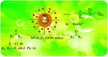 Graphical abstract: A green procedure for direct oxidation of organic halides to aldehydes and ketones catalyzed by a molybdate-based catalyst