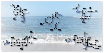 Graphical abstract: Syntheses and biological studies of marine terpenoids derived from inorganic cyanide