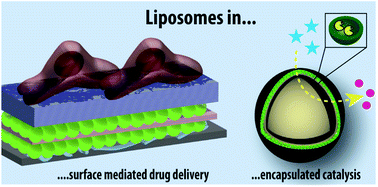 Graphical abstract: Liposome-containing polymer films and colloidal assemblies towards biomedical applications