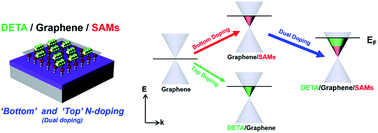Graphical abstract: A highly conducting graphene film with dual-side molecular n-doping