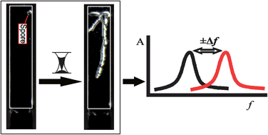 Graphical abstract: Nanomechanical sensors for single microbial cell growth monitoring