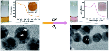 Graphical abstract: Au@Ag core/shell nanoparticles as colorimetric probes for cyanide sensing
