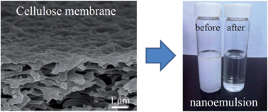 Graphical abstract: Ultrathin cellulose nanosheet membranes for superfast separation of oil-in-water nanoemulsions
