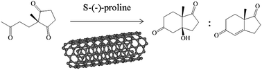 Graphical abstract: The effects of interactions between proline and carbon nanostructures on organocatalysis in the Hajos–Parrish–Eder–Sauer–Wiechert reaction
